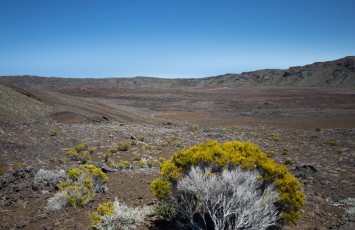 La Plaine des Sables